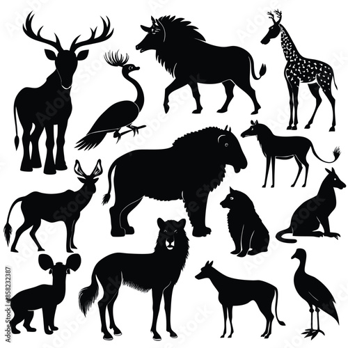 Wild Animal Silhouette Collection - Black Vector Shapes