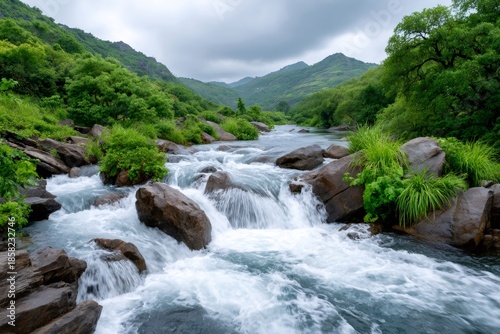 River water flowing over rocks in lush green valley