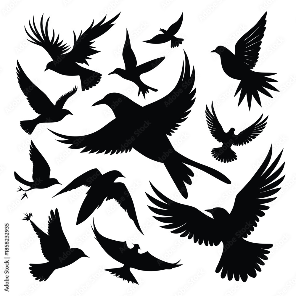 Fototapeta premium Flying Birds Silhouette Set Isolated on White Background