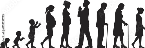 Human life stages from crawling baby to elderly with cane, showing aging process, pregnancy, adulthood, and full female life cycle silhouette.