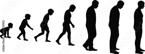 Human life stages from childhood to adulthood, aging process, growth, development, silhouette, male evolution, transformation, progression, life cycle, health, time, man walking, body changes.