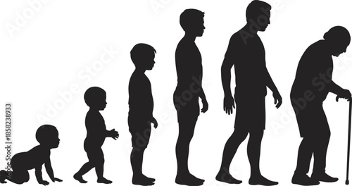 Human life stages from infancy to old age, silhouette illustration showing growth and aging process, development timeline, generational concept, health awareness.