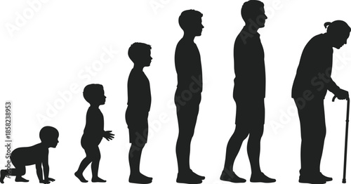Human life stages silhouette, aging process, baby to elderly, growth and development, life cycle illustration, people evolution, age progression, health journey