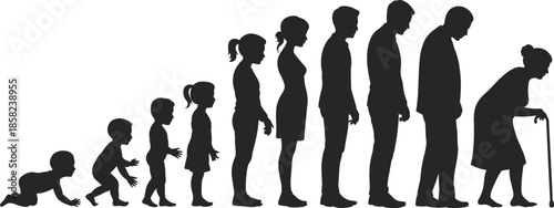 Human life stages silhouette, growth from baby to elderly, aging process, human development, life cycle illustration, health evolution, childhood to old age, timeline concept