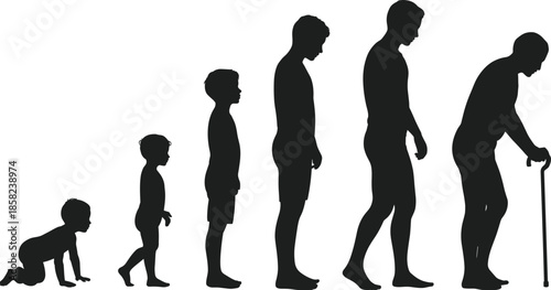Male life stages silhouette from crawling baby to elderly man with cane, age progression concept, human development, aging process vector graphic