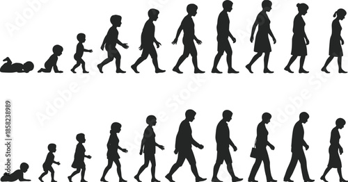 Human life cycle silhouette from baby crawling to elderly walking, growth stages of male and female development, vector isolated illustration