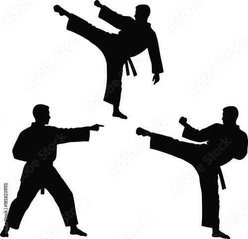 Martial arts silhouettes, karate kick illustration, martial artist poses artwork, self defense training design, sports combat graphic, traditional gi uniform