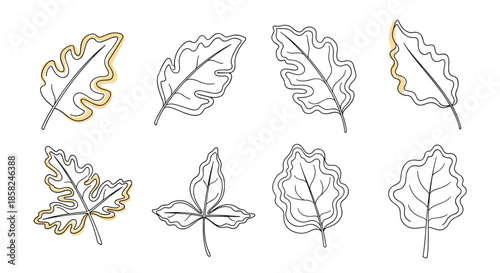 A collection of eight oak and other tree leaves drawn in a continuous line style with abstract yellow accents for an autumn feel.