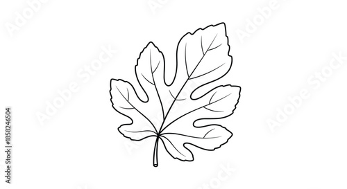 A simple black and white line art illustration of a fig leaf showcasing its unique lobed shape perfect for minimalist botanical designs.