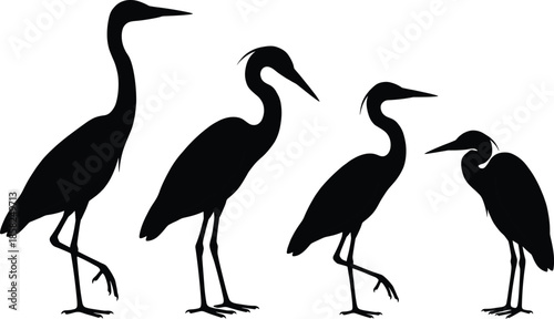 Heron and egret bird silhouettes set showing standing poses, long legs and beaks, wildlife nature minimal black vector illustration
