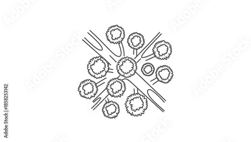 Abstract Representation of Microscopic Cellular Structure and Growth.