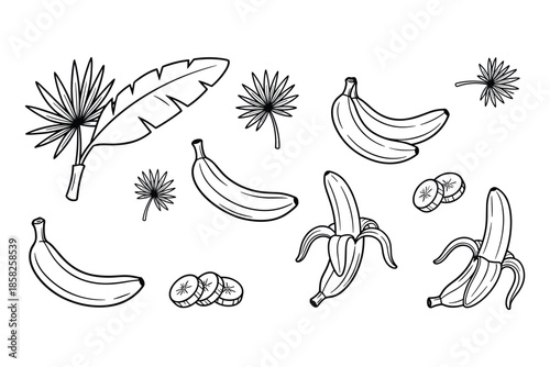 Sketch set with banana fruit leaves and slices in outline style isolated.