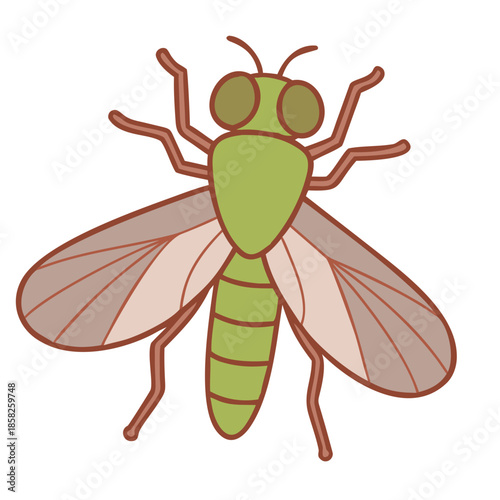Vector illustration of a cartoon fly and honey bee insect isolated on white background showing detailed wings and hairy black body for nature and wildlife entomology