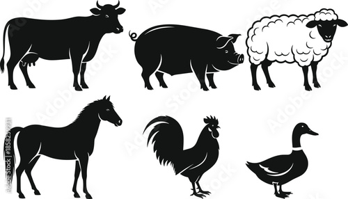 Cow silhouette, pig silhouette, sheep silhouette, horse silhouette, rooster silhouette, duck silhouette, farm animals, livestock vector, black silhouettes, editable vector,  