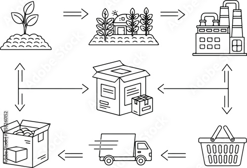 Infographic illustrating the supply chain process from production to delivery with a line drawing style on a clean white background.