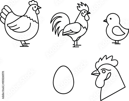 A set of simple line drawings featuring a chicken, rooster, chick, egg, and chicken head on a white background with a minimalist style.