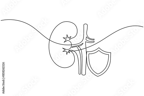 Human Kidney Protection with Shield One Line Drawing Healthcare Concept