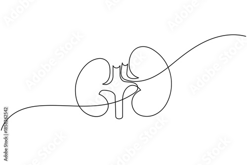 Minimalist One Line Art of Human Renal System for Nephrology Concept