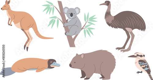 Australian native animals