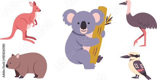 Australian wildlife illustration