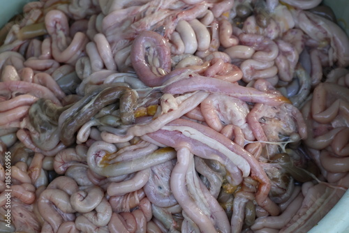 Raw chicken intestines commonly prepared as food in several Asian countries, representing unhealthy food concepts and questionable nutritional value.