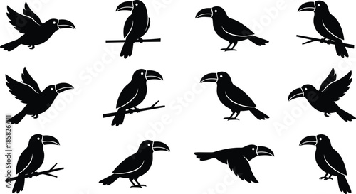 Toucan bird silhouette set showing flying and perched poses, tropical wildlife icons collection in minimalist black vector illustration style