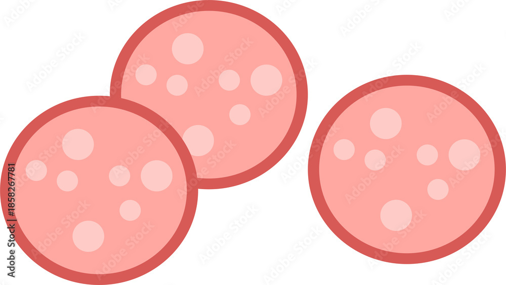 Fototapeta premium Salami slices, barbecue, beef