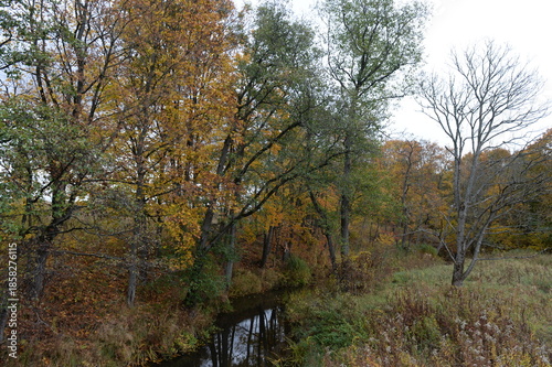 The Putilovka River in the Kaliningrad region. Russia