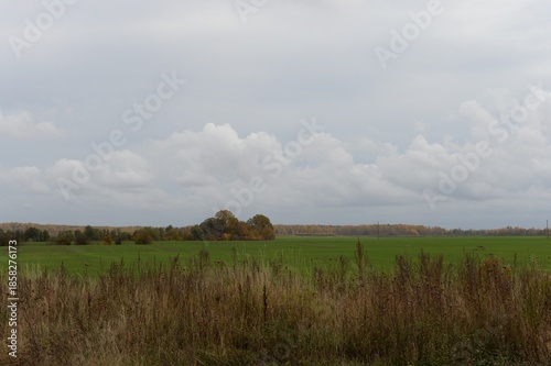 Rural landscape in the Kaliningrad region