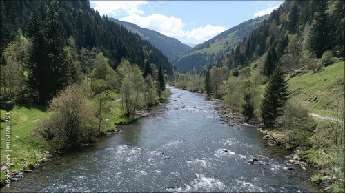 Scenic River Flowing Through Green Mountain Valley Under Clear Blue Sky Surrounded by Lush Pine Trees and Grass Landscape in Bright Daylight