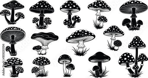 Black and white mushroom illustrations in various shapes and sizes