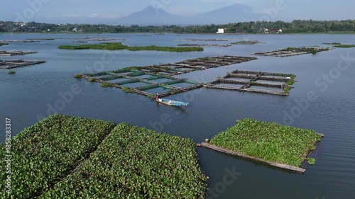 A Small Boat Navigating Through Water Hyacinth in Cengklik Lake, Aerial Waduk Cengklik 