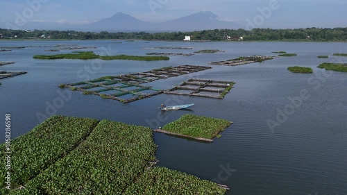 A Small Boat Navigating Through Water Hyacinth in Cengklik Lake, Aerial Waduk Cengklik 