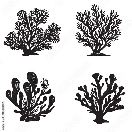 Set of Coral and Marine Plant. silhouette vector