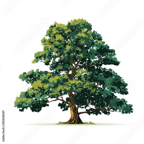 Teak Tree, presented as a modern flat 2D vector icon graphic on a white background