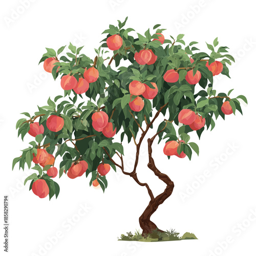 Peach Tree, presented as a modern flat 2D vector icon graphic on a white background