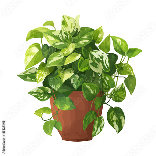 Simple flat 2D vector graphic of a Jade Pothos in modern icon style, isolated on a white canvas