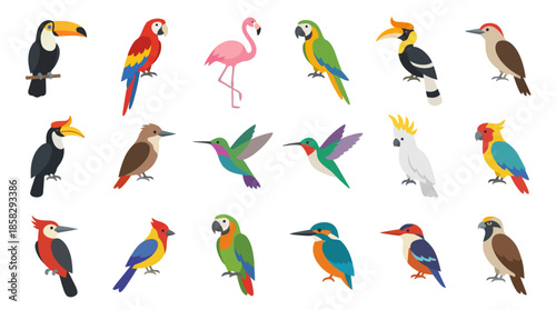 Collection of Various Colorful Bird Species.