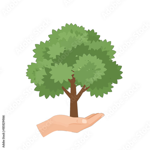 Hand Holding a Small Green Tree