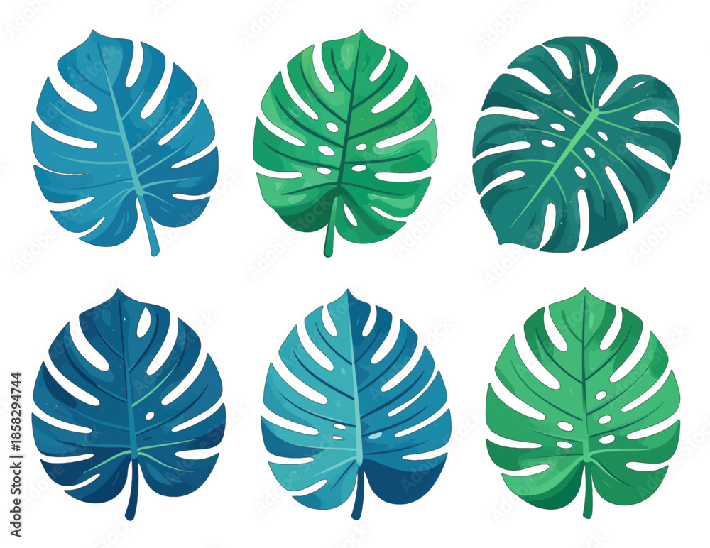 Fototapeta premium Six large tropical monstera leaves in blue and green