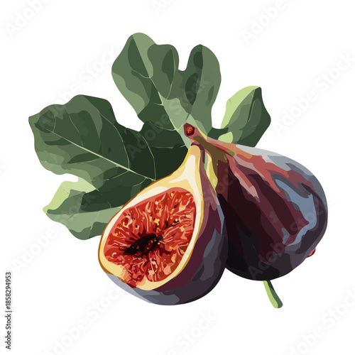 Fig, rendered in a minimalist 2D flat vector icon style against a pure white backdrop