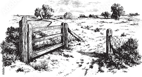 Old wooden fence in a black and white etching. Simple rural landscape vector illustration with trees and bushes in the background.