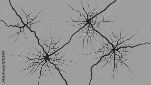 Cracked surface Detailed illustration of interconnected fissures, ideal for textural designs and abstract backgrounds