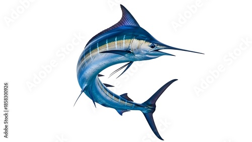 Vibrant blue marlin fish isolated against a white background for design use