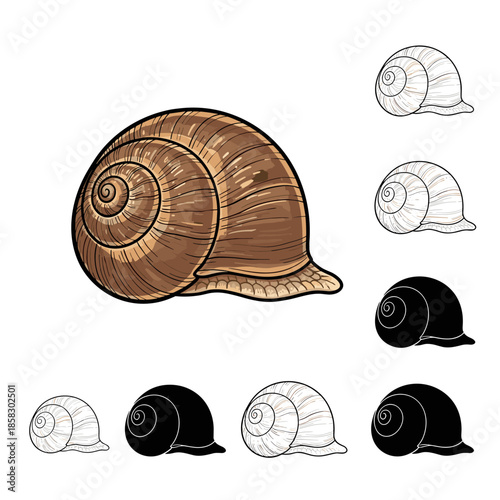 Diverse collection of snail shell graphics showing different views and artistic styles including color silhouette and line art.