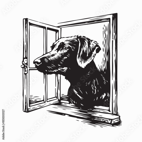 Dog Looking Outside Window Vector Illustration on White Background