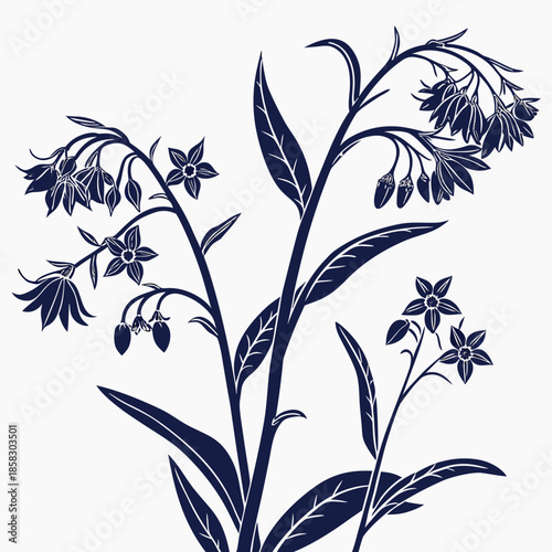 comfrey borage edible silhouette  on white