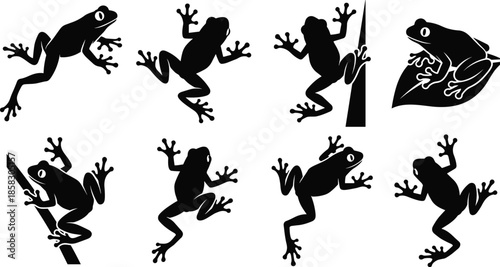 Frog silhouette collection showing jumping climbing frogs isolated on white background wildlife amphibian vector illustration set design elements