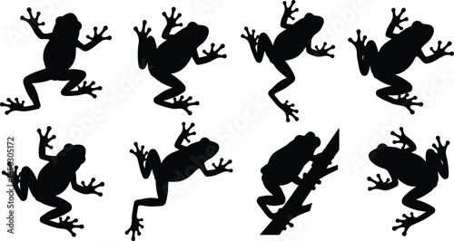 Frog silhouette set showing jumping climbing amphibian poses isolated on white background wildlife nature vector illustration collection design elements stock