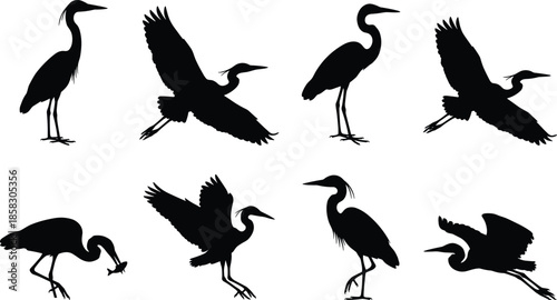 Heron silhouette collection showing standing flying hunting herons isolated on white background wildlife water bird vector illustration set